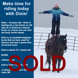 SOLD – Dixie –  2005 Grade Bay Mare – Perfect for Beginners