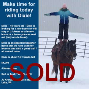 Dixie-Josie-Stand-Up-Graphic-Text-Ad-1-300x300.fw