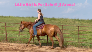 SOLD – Little Girl – Awesome All Around Mare