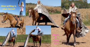 SOLD – 2000 Dun Mare – Freckles Handy Candy