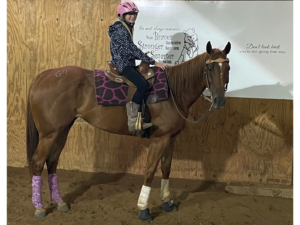 SOLD – Penny ~ Ima Mighty Ten ~ 2014 Sorrel Mare