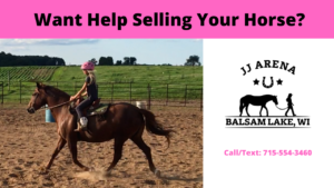 Horses On Consignment – Starting at $400 a month and 10% Commission