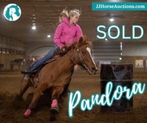 SOLD-Pandora – 2014 Grade Dun Barrel Racing Mare – Firm at 15K