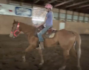 SOLD: Sunny is a 4-year-old grade dun mare. $2,500