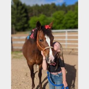 SOLD WITHIN 2 WEEKS – Blosssom – POA Mare 13.2 hands LOVES PEOPLE & GENTLE!!! $4,500