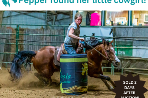 Pepper Barrel Racing Horses For Sale 300x200