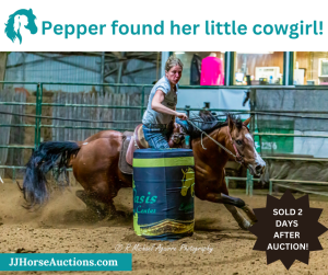 Pepper Barrel Racing Horses For Sale 300x251