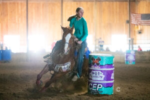 TR Trump That – 2019 APHA Sorrel Gelding $40K