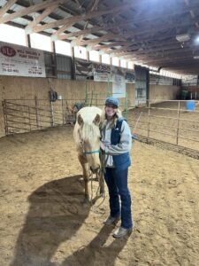 SOLD – Sharp Dressed Man – 2023 Palomino Gelding