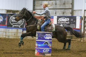 She Will Be Famous – Fame – 2009 AQHA Brown Mare $25K