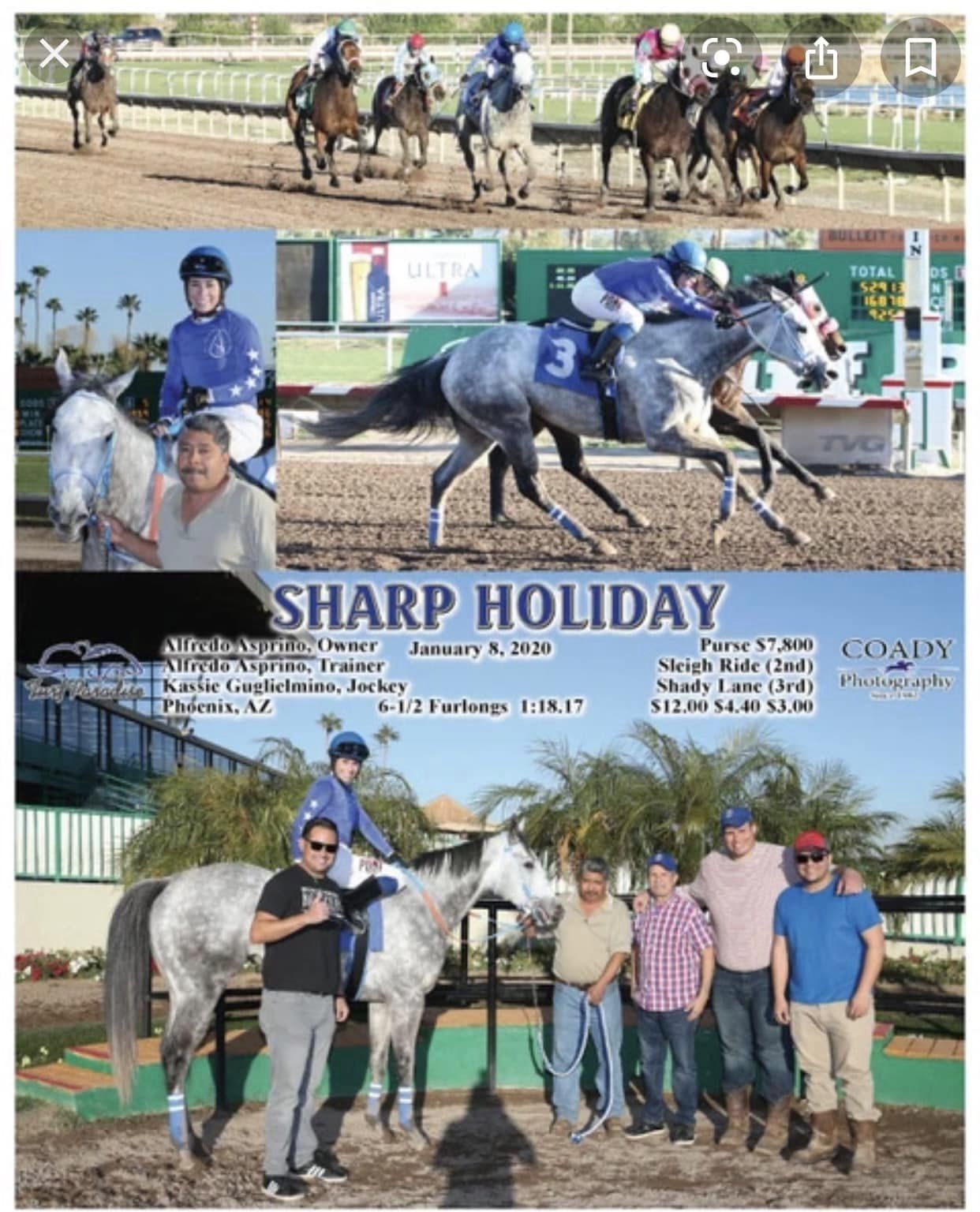 Sharp Holiday - 2013 Mare - $5,0000