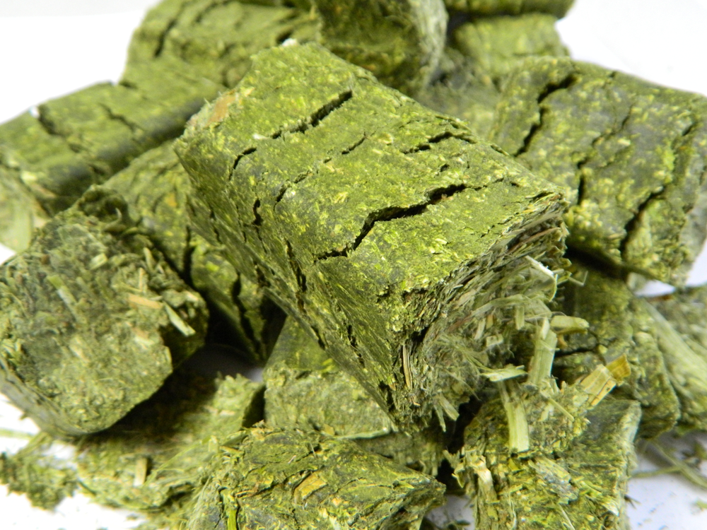 cubeit-alfalfa-cubes cubeit-alfalfa-cubes